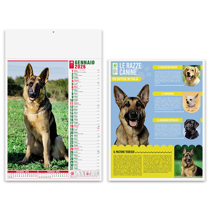 calendario 2026 cani gatti b
